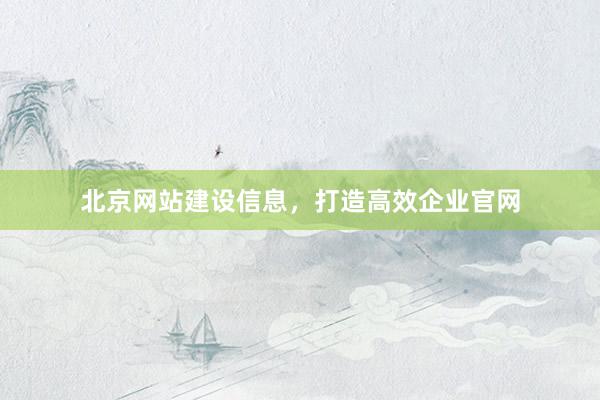 北京网站建设信息，打造高效企业官网