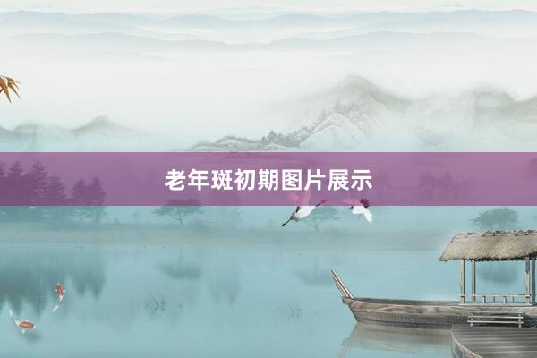老年斑初期图片展示