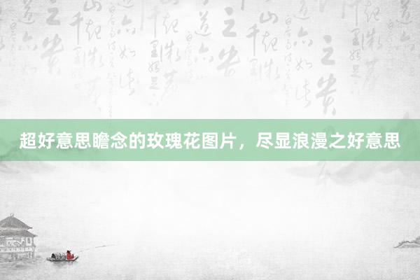 超好意思瞻念的玫瑰花图片，尽显浪漫之好意思
